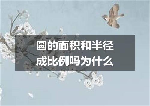 圆的面积和半径成比例吗为什么