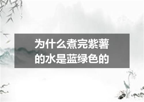 为什么煮完紫薯的水是蓝绿色的