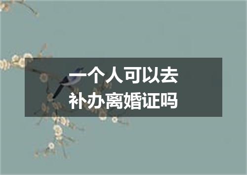 一个人可以去补办离婚证吗