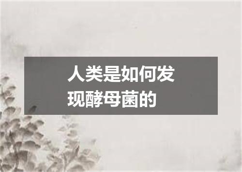 人类是如何发现酵母菌的