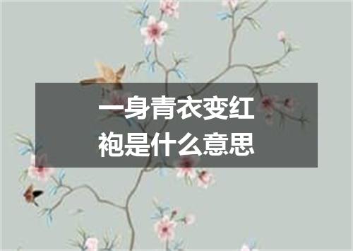 一身青衣变红袍是什么意思