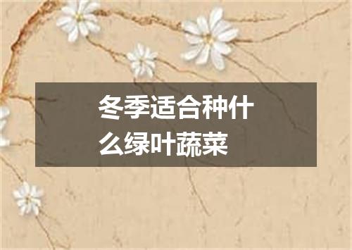 冬季适合种什么绿叶蔬菜