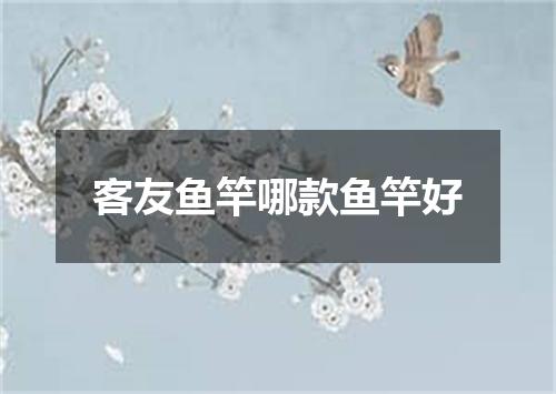 客友鱼竿哪款鱼竿好
