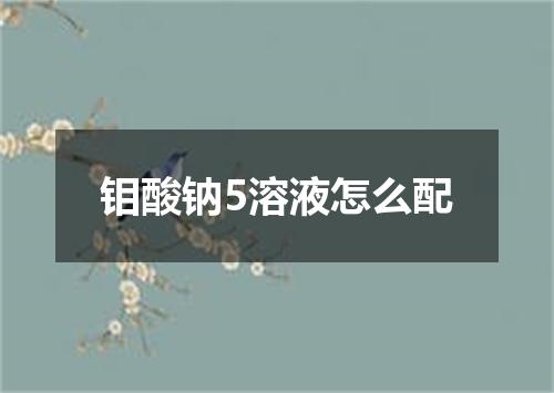 钼酸钠5溶液怎么配