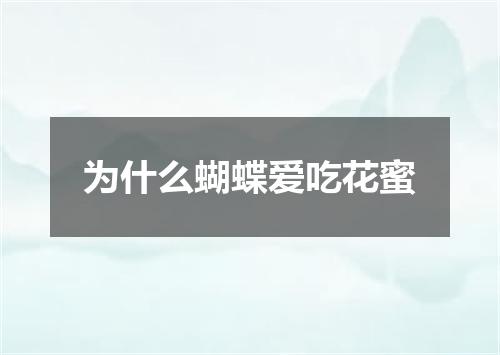 为什么蝴蝶爱吃花蜜