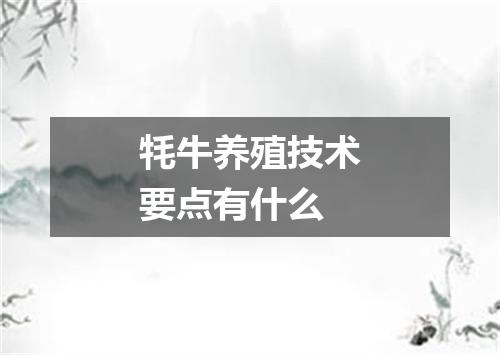 牦牛养殖技术要点有什么