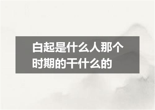 白起是什么人那个时期的干什么的