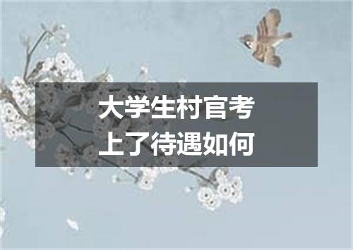 大学生村官考上了待遇如何