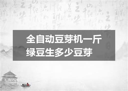 全自动豆芽机一斤绿豆生多少豆芽