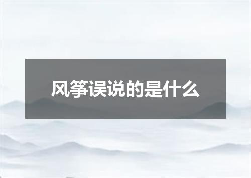 风筝误说的是什么