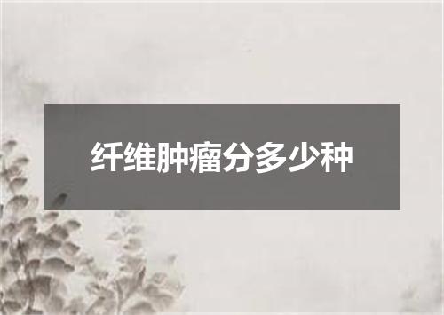 纤维肿瘤分多少种