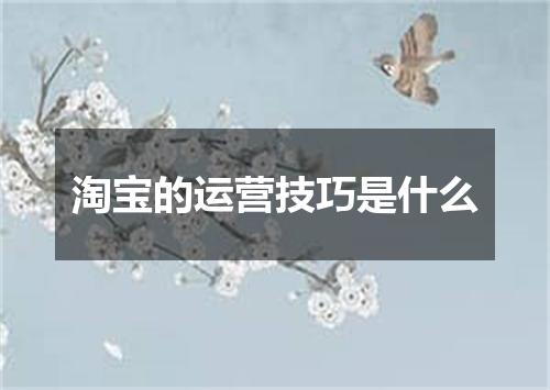 淘宝的运营技巧是什么