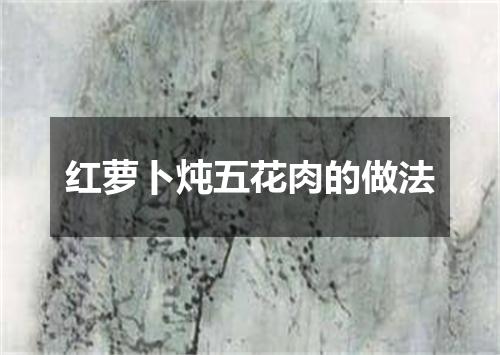 红萝卜炖五花肉的做法