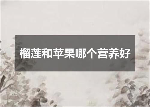 榴莲和苹果哪个营养好