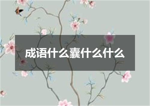 成语什么囊什么什么