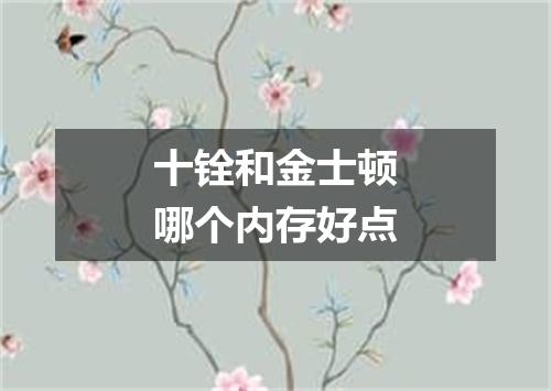 十铨和金士顿哪个内存好点