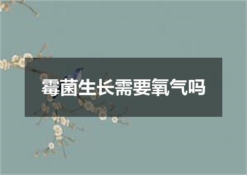 霉菌生长需要氧气吗