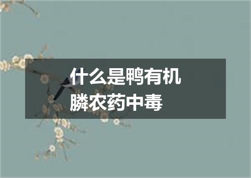 什么是鸭有机膦农药中毒