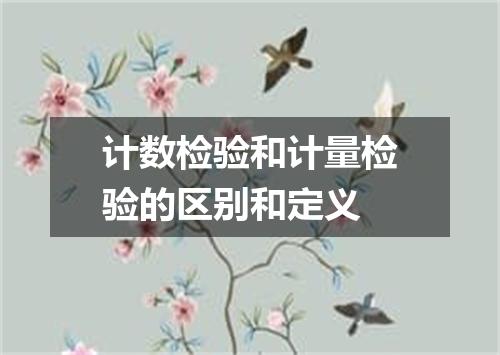计数检验和计量检验的区别和定义