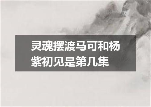 灵魂摆渡马可和杨紫初见是第几集