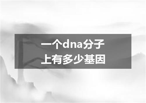 一个dna分子上有多少基因