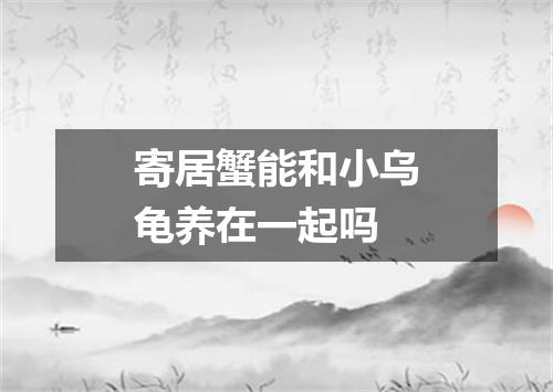 寄居蟹能和小乌龟养在一起吗