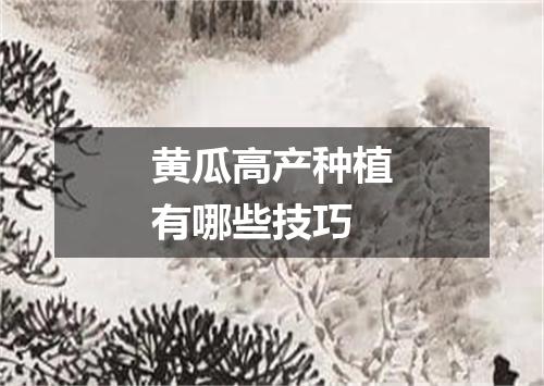 黄瓜高产种植有哪些技巧