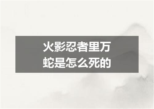 火影忍者里万蛇是怎么死的