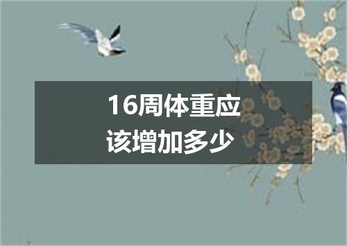 16周体重应该增加多少