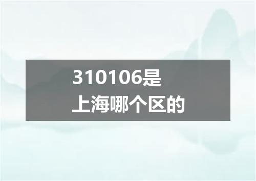 310106是上海哪个区的