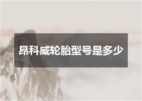 昂科威轮胎型号是多少