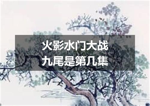 火影水门大战九尾是第几集
