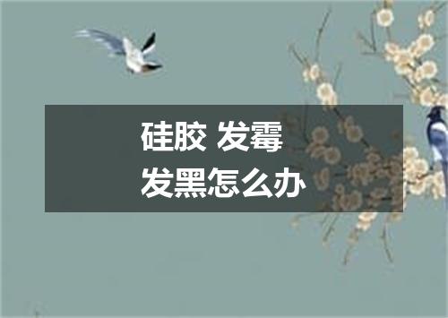 硅胶 发霉 发黑怎么办