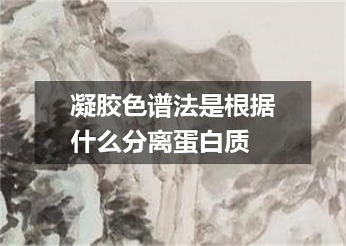 凝胶色谱法是根据什么分离蛋白质