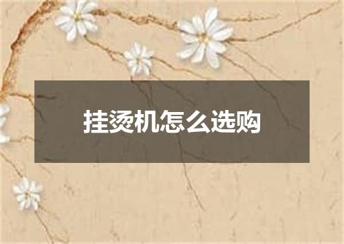 挂烫机怎么选购