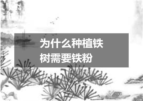 为什么种植铁树需要铁粉