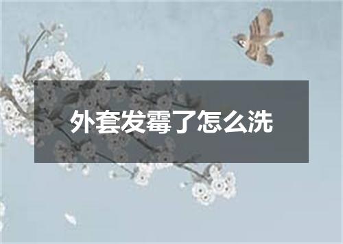 外套发霉了怎么洗