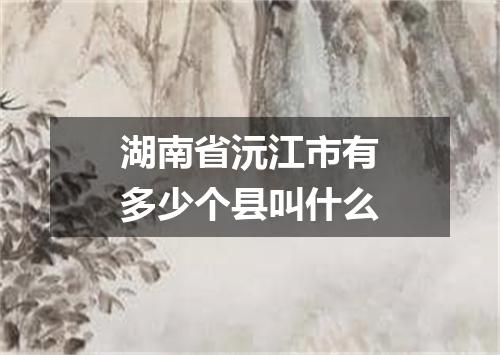 湖南省沅江市有多少个县叫什么