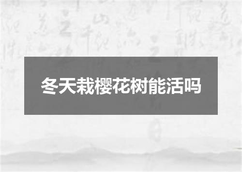 冬天栽樱花树能活吗