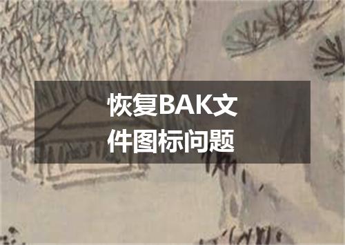 恢复BAK文件图标问题