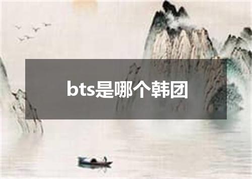 bts是哪个韩团