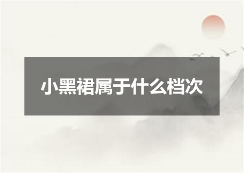 小黑裙属于什么档次