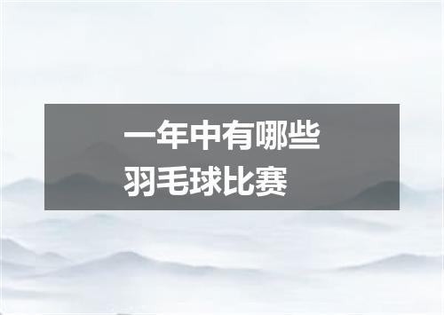 一年中有哪些羽毛球比赛