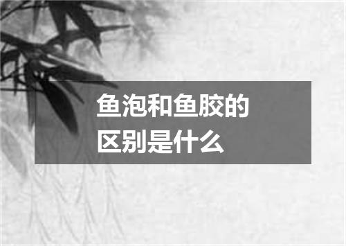 鱼泡和鱼胶的区别是什么
