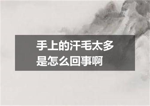 手上的汗毛太多是怎么回事啊