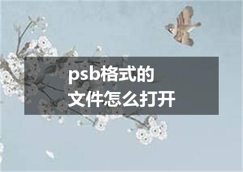 psb格式的文件怎么打开