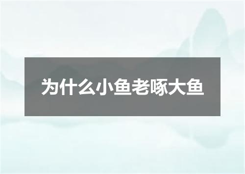 为什么小鱼老啄大鱼