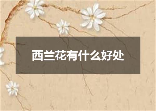 西兰花有什么好处