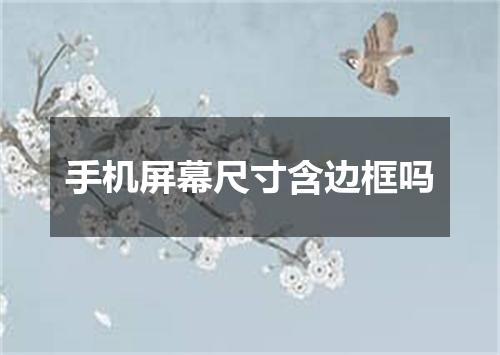 手机屏幕尺寸含边框吗