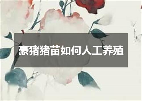 豪猪猪苗如何人工养殖